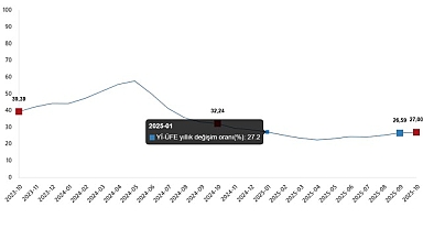 Yurt İçi Üretici Fiyat Endeksi, Ekim 2025