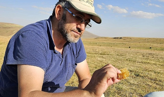 Kafkas Arısı için alarm zilleri çalıyor